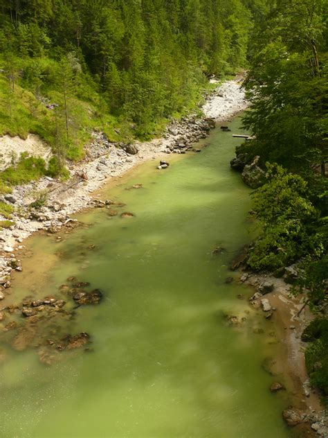 Fotos Gratis Rbol Naturaleza Desierto Lago R O Valle Salvaje