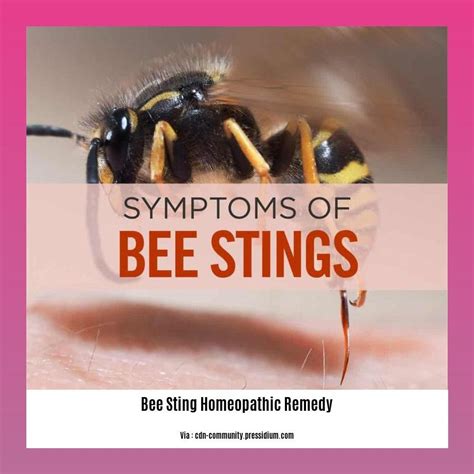 Bee Sting Homeopathic Remedy Unveiling The Potential Of Natural