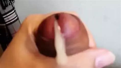 Leonardo Da Vinci Fgo Sop Free Gay Porn Xhamster