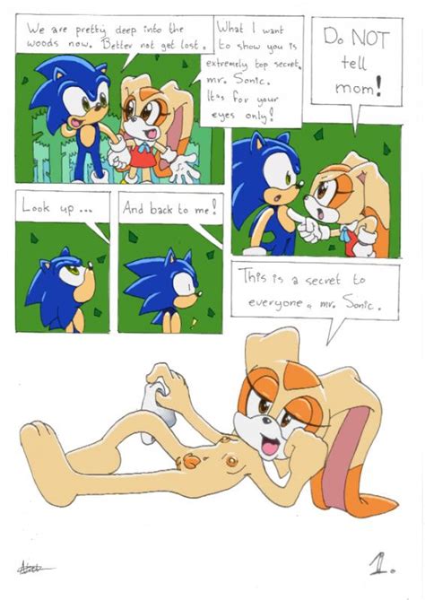 Sonic The Hedgehog Porn Comics Sex Games SVSComics
