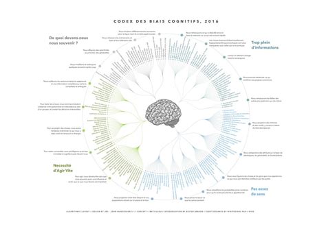 Louis Derrac Le Codex Des Biais Cognitifs