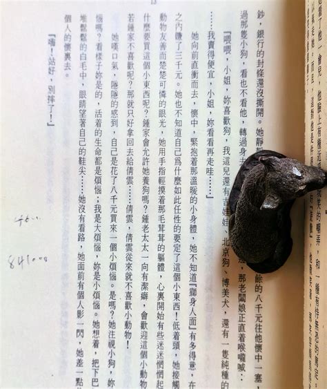 【毛妞書坊】《寒煙翠聚散兩依依我的故事冰兒》（典藏版），瓊瑤著，皇冠文化，四冊合拍 Yahoo奇摩拍賣