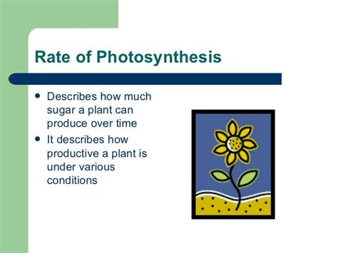 Factors affecting photosynthesis