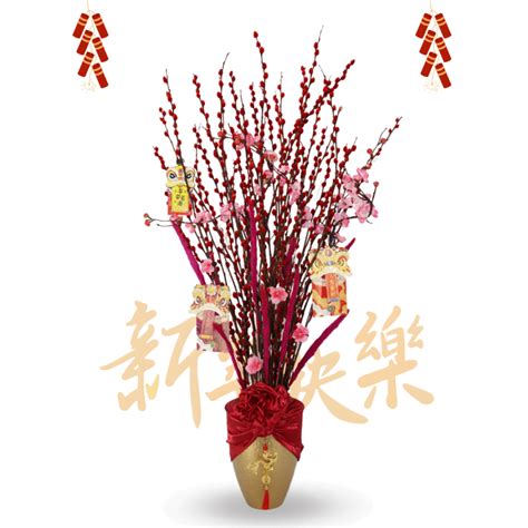 Pussy Willow Arrangement Serpent S Bloom Elegance Toh Garden Singapore Orchid Plant