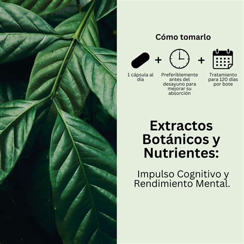 Nootropic Booster – Bamboo Labs