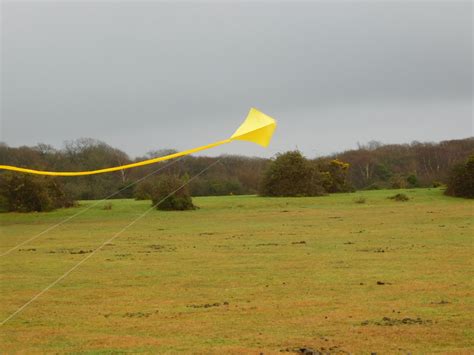 Peter Powell Kites Collection Yellow Polythene Mk Ii