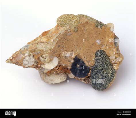 Sedimentary rock : Conglomerate Stock Photo - Alamy