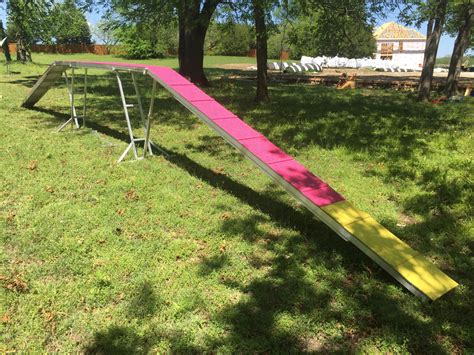 Paw Power Agility Equipment | Photo Gallery