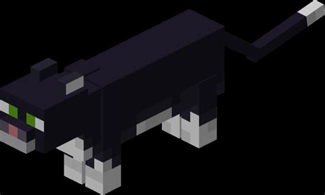 Cat Minecraft Wiki