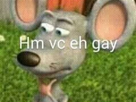 Hmmmm Vc Eh Gay Quizur
