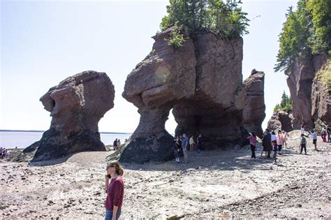 Sightseeing in New Brunswick Canada - a unplanned meeting came up. Here