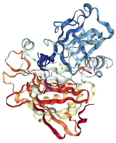 Bace Protein Overview Sino Biological