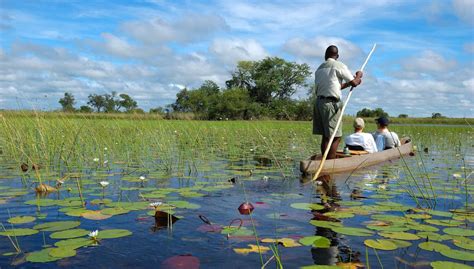 Best Time To Visit Botswana Zambia And Zimbabwe On Safari Art Of Safari