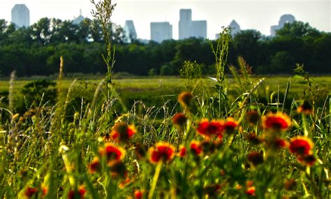 storm   trinity river wetlands