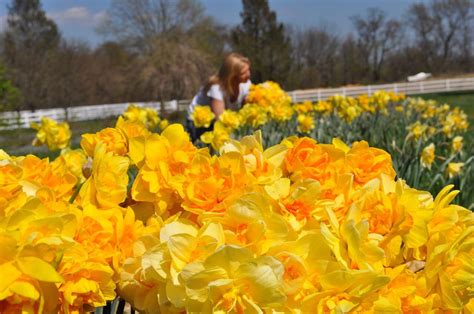 Cranbury Education... - Cranbury Education Association