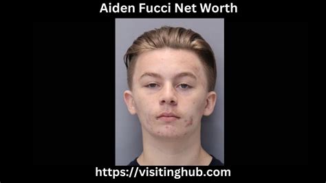 aiden net worth