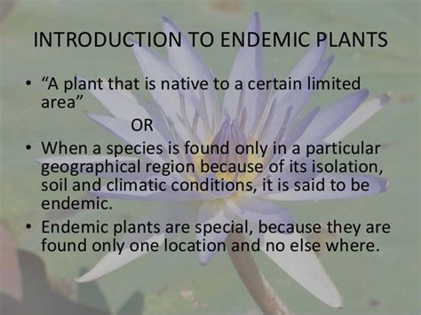 Endemic plants in sri lanka