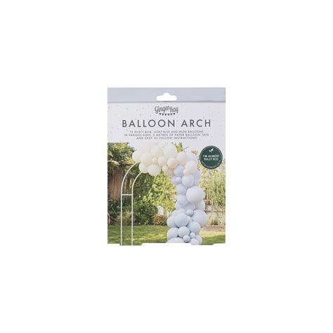 Kit D Arche De Ballon Bleu Et Nude France Effect