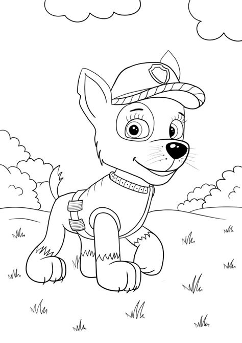 Sky from Paw Patrol flying to rescue coloring page for free print