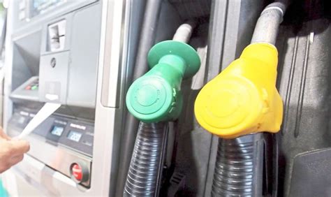 time    sustainable fuel subsidy policy  true net