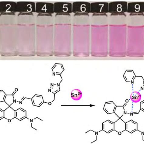 Diagrammatic Representation Of An Analyte Binding With A Chemosensor