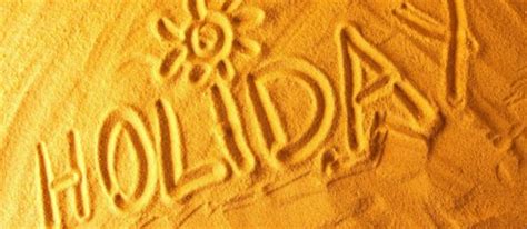 O Que Significa Pussy Como Usar Essa G Ria Em Ingl S