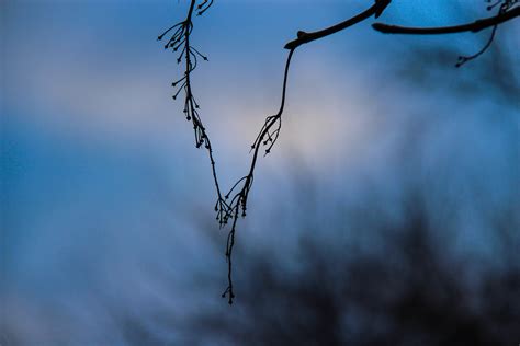 Wallpaper Sunlight Water Nature Reflection Grass Sky Winter