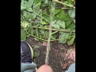2024 年park August公共小便 Pornhub Gay