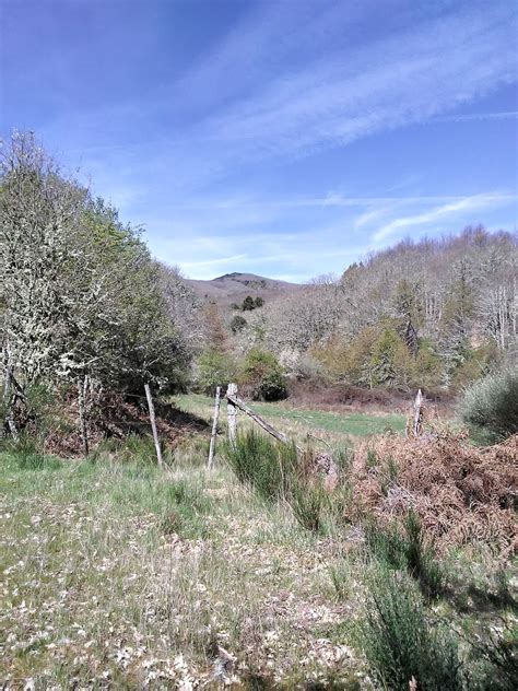 Senderismo Domingueros Viti Ruta De La Sierra De La Caleria En