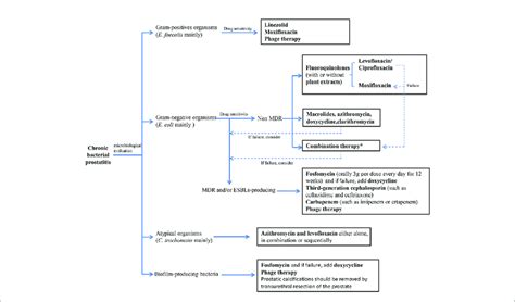 Treatment Algorithm For Chromic Bacterial Prostatitis Mdr