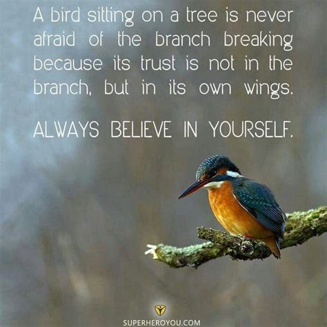 A Bird Sitting On A Branch Quote Spreuken Teksten Inspireren