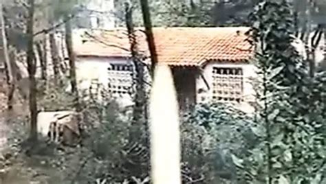 Greek Vintage S Hardcore Hardcore Porn XHamster