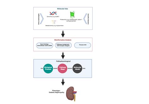 Illustrated Schematic Analysis Workflow Integration Of Genomics