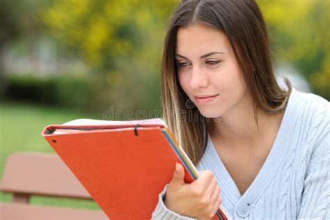 Student Studying In A Park Stock Image Image Of Bench 262594615