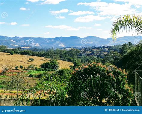 Natureza Stock Photos - Download 1,147 Royalty Free Photos