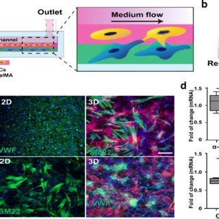 Fabrication Of Cell Laden Hydrogel Bioprinting On Microfluidic Chip A