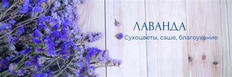 Loveанда\Лаванда\Сухоцветы | Лаванды в милых мешочках, цена 350р. 2025 ...