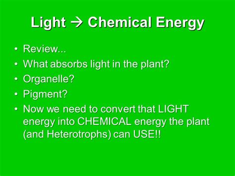 Chapter 6 Photosynthesis Ppt Download