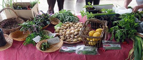 Newport Fruits And Vegetables Swap Beautiful Altona