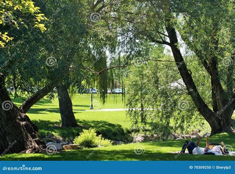 Murray Park Editorial Image Image Of Salt Sony Relaxation 70309250