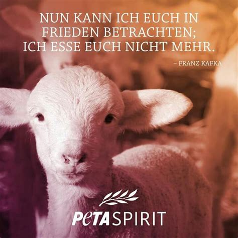 Pin Von Sabine Zore Auf Tierschutz Zitate Tiere Vegetarier Zitate