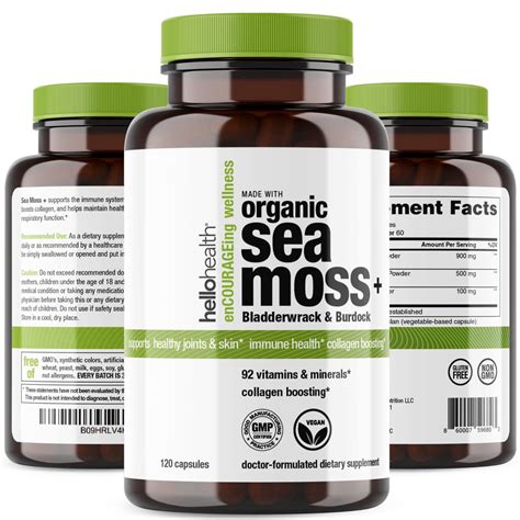 How Much Sea Moss To Take Daily Full Guide Orlando Magazine