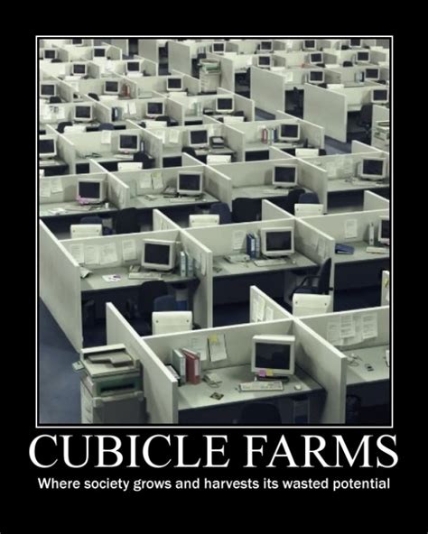 Cubicle farms - Meme Guy