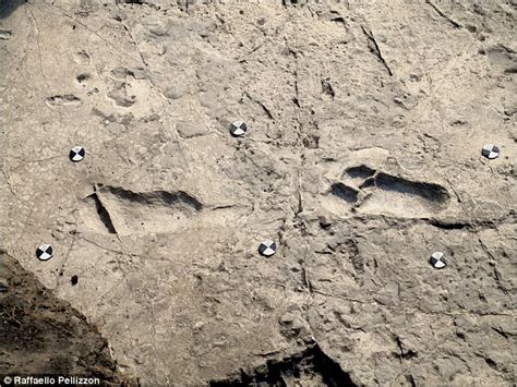 3 6million Year Old Footprints In Tanzania Give Glimpse Into Sex Lives Of Human Ancestors