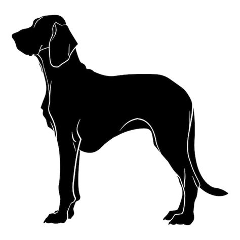 Premium Vector Flat Illustration Of Bloodhound Dog Silhouette