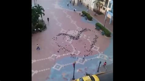 Живое сердце porn video on BrownPorn