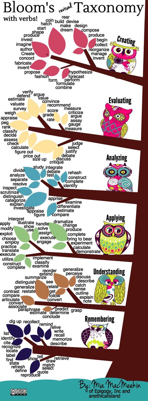 Taxonomia De Bloom