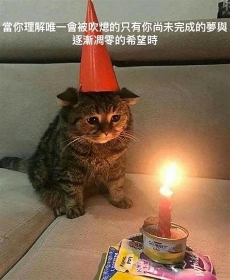 生日快樂🎂 梗圖板 Dcard