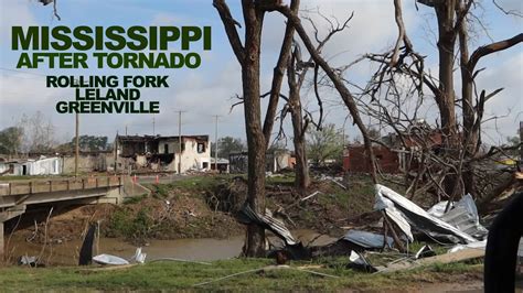 Mississippi After Tornado Rolling Fork Also Wife Saves A Turtle