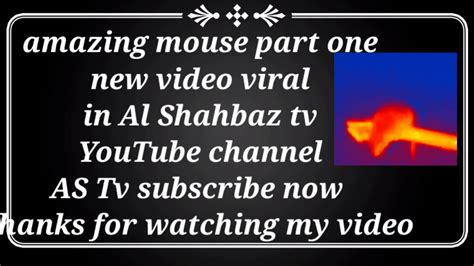 Amazing Mouse Video Part 1 Youtube